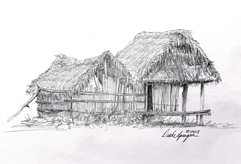 Sketch of an Amazon Jungle Dwelling 