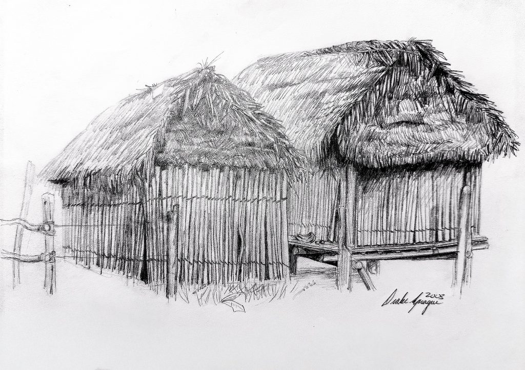 Sketch of an Amazon Jungle Dwelling 